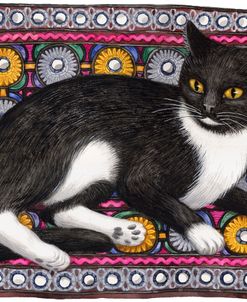 Black And White Cat On Cushion