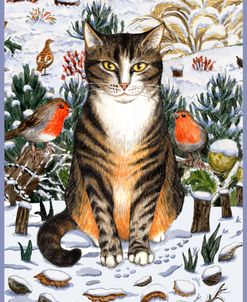 Winter Tabby Cat With Blue Border
