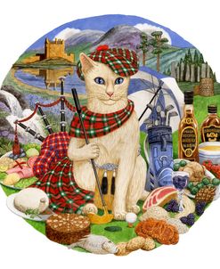Mctavish Cat