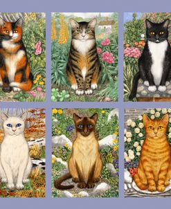 Six Cats In The Garden