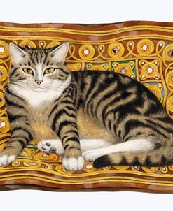 Tabby Fidel On Cushion