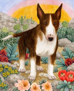 Bull Terrier