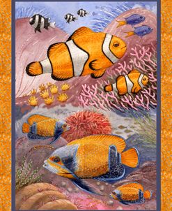 Tropical Fish
