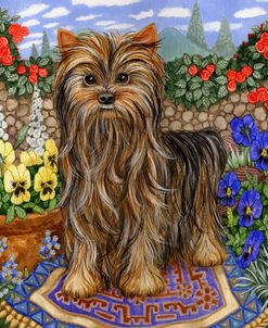 Terrier