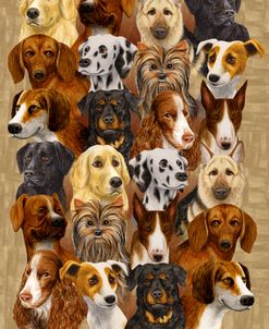 Twenty Four Dogs