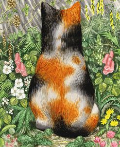Tortoiseshell In Garden W Hollyhocks Back