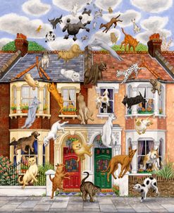 Raining Cats And Dogs 3