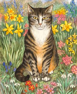 Taffy Cat with Daffodills