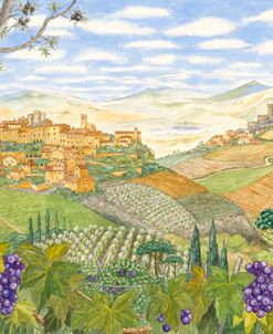 Tuscan Landscape with grape vine