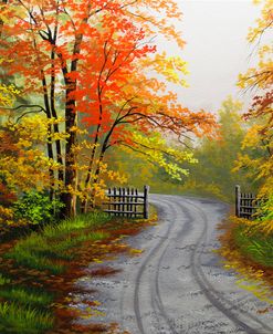 Autumn Road