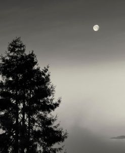 First There is No Mountain