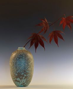 Still Life with Japanese Maple and Raindrops