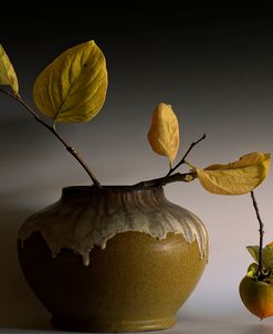 Still Life with Persimmon