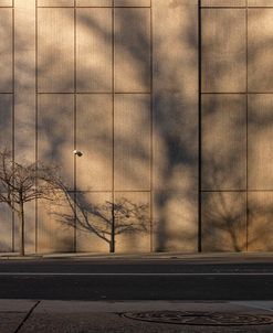 There Is No End to What I’d Like to Do (Arch Street)