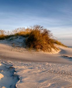 Dune Study I