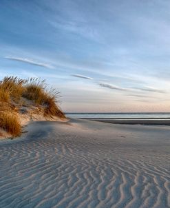 Dune Study II