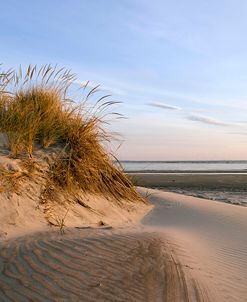 Dune Study Iii