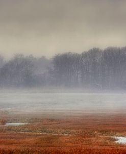 Snow Squall