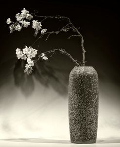 Still Life with Apple Blossoms