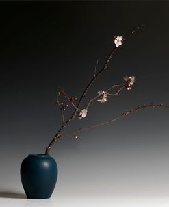 Still Life with Plum Blossom