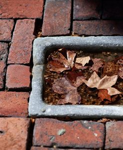 Tiny Cistern