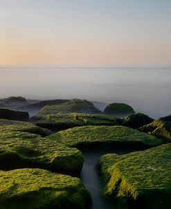 Green Jetty