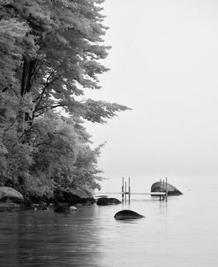 Dock Composition