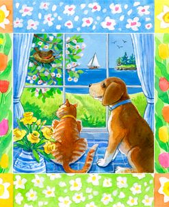 Spring Cat And Dog