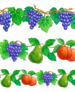 Grapes and Fruit borders