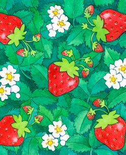 Strawberries + Leaves