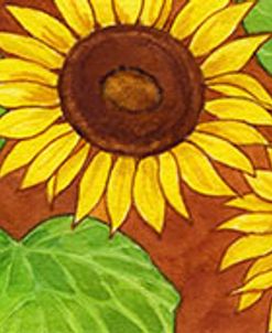 Sunflower border