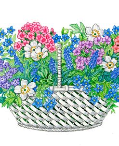 Phlox Basket