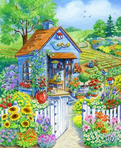 Garden Shed