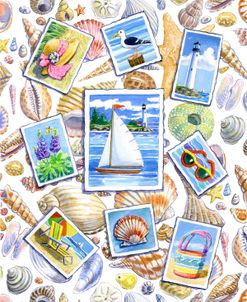 Postcards And Shells