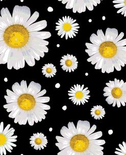 White Daisies on black