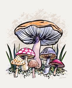 Mushrooms Under Cover