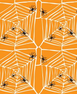 Spider Web Macrame