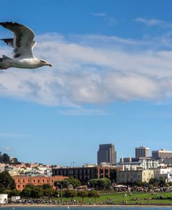 Over SF