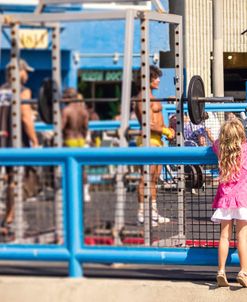 Curiosity, Muscle Beach