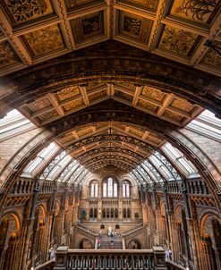 Natural History Museum I