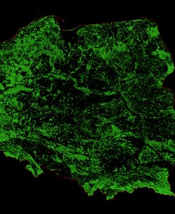 Forest Cover Of Poland