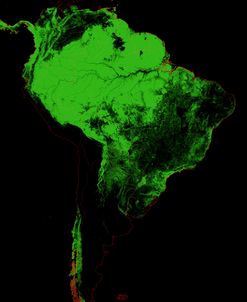 Forest Cover Of South America