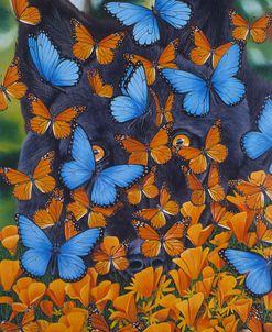 Autumn Butterflies