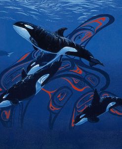 Blue Orcas