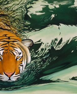 Tiger Waters