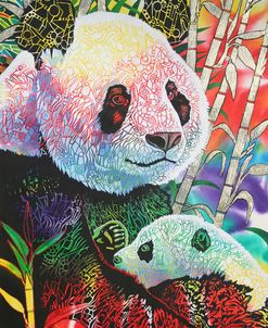 Rainbow Panda