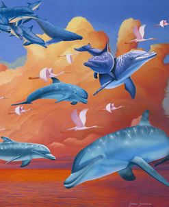 Dolphins Clouds