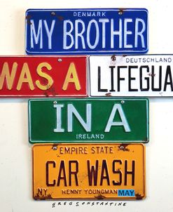 Youngman Lifeguard In A Carwash