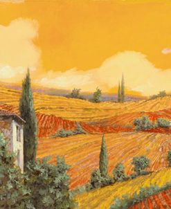 Terra Di Siena