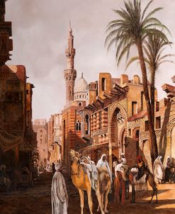 0697-Cammelli a il Cairo